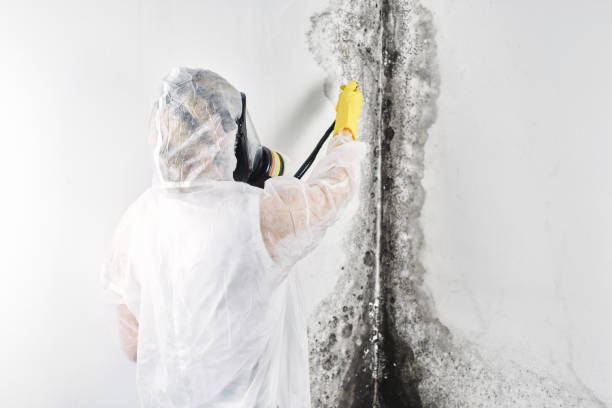 Best Water damage restoration near me  in Orland, CA